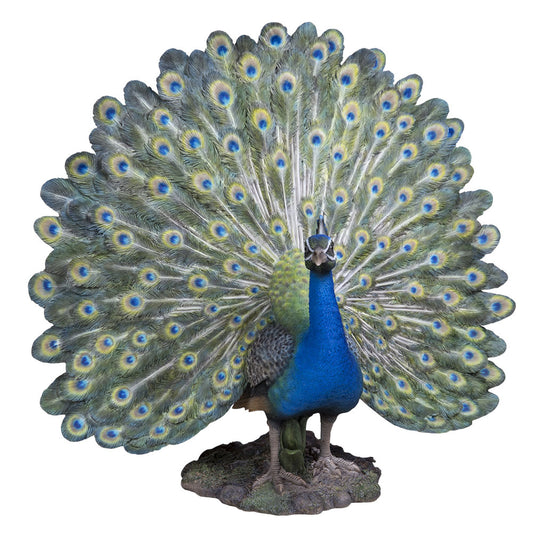 Statue - Peacock Open Tail - Available at Simon's Seconds