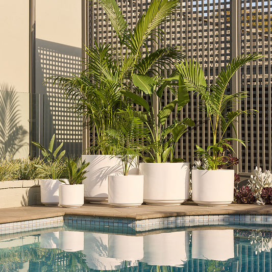 Modstone Fynn Planter Pot - Pure White - Available at Simons Seconds