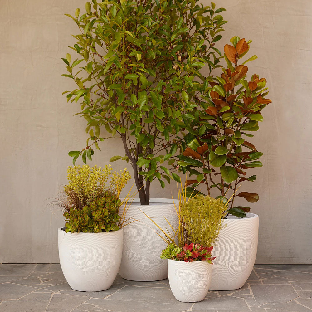 UrbanLITE Helix Egg Pot - White - Set - Available at Simon's Seconds