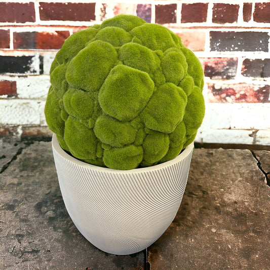 UrbanLITE Helix Egg Pot - White - Small - Backyard Landscaping - Available at Simon's Seconds