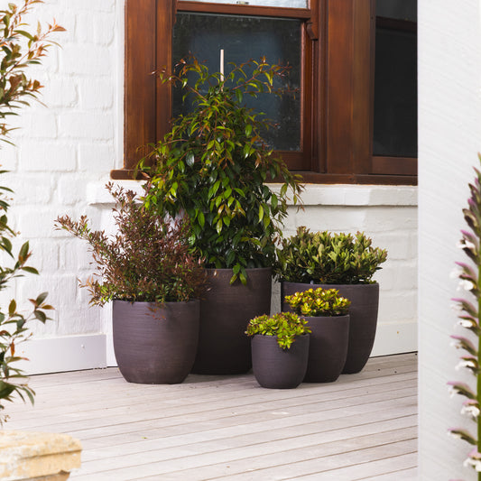 Summit Egg Pot - Black