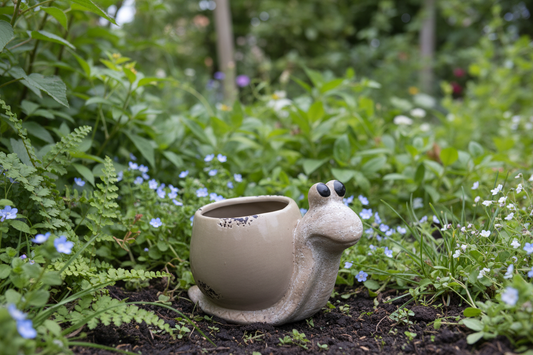 Snail Pot