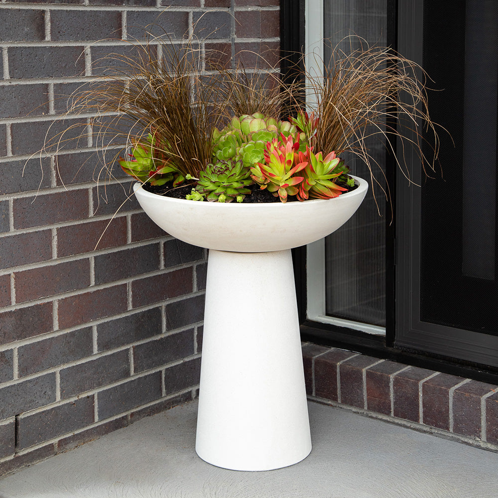CementLITE Finch Bird Bath - White - In-situ - Available at Simon's Seconds