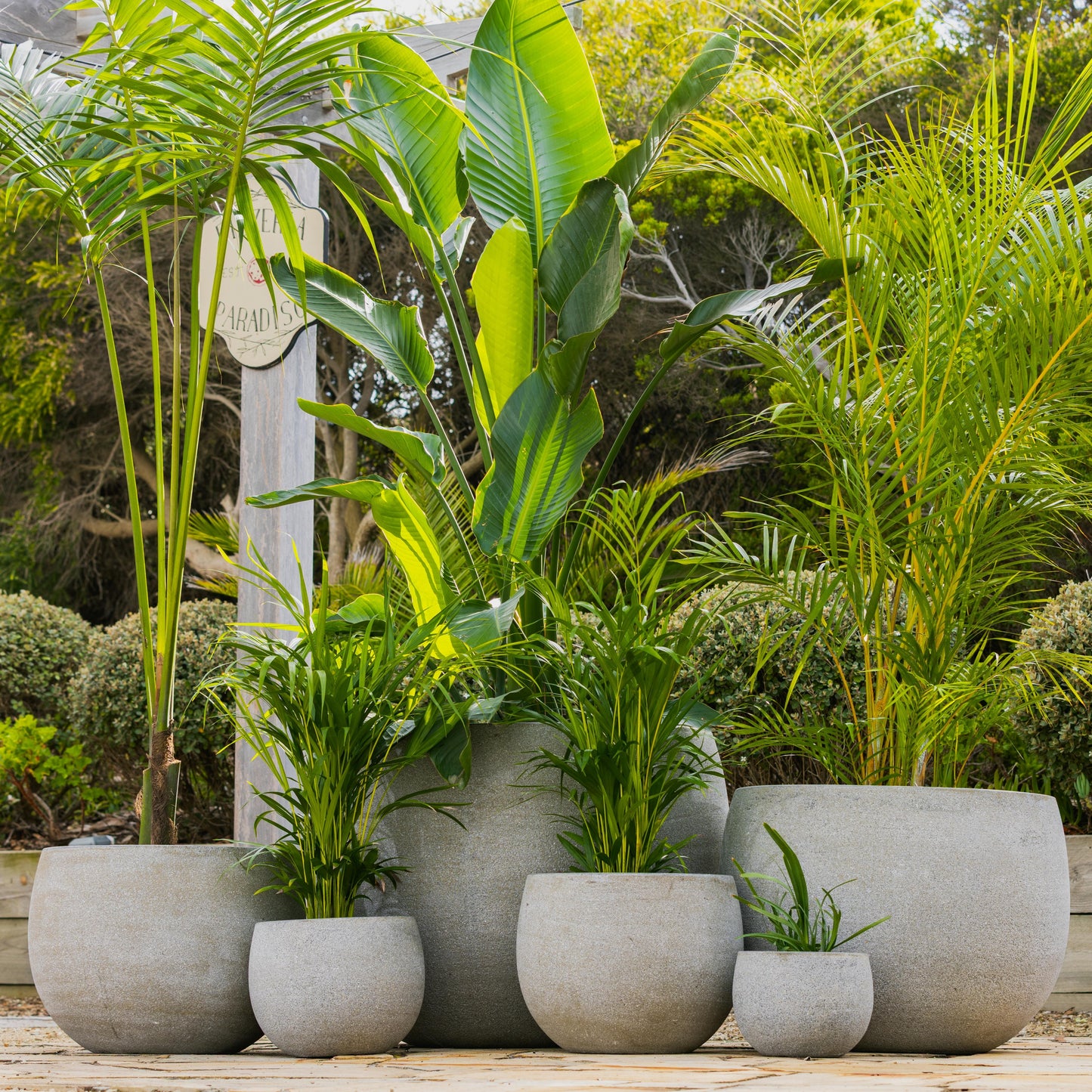 Modstone Mega Belly Pot - Lava Grey