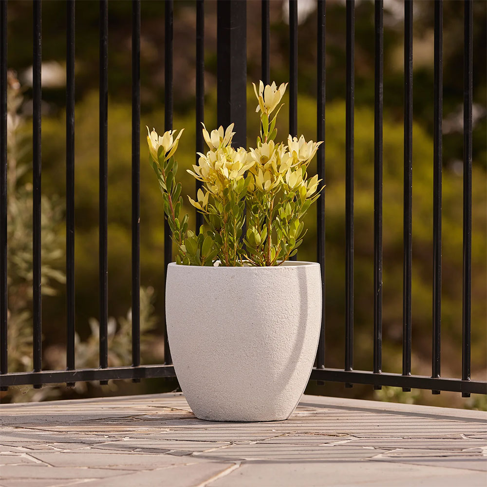 Modstone Montague Egg Pot - White Stone - plants - Available at Simon's Seconds