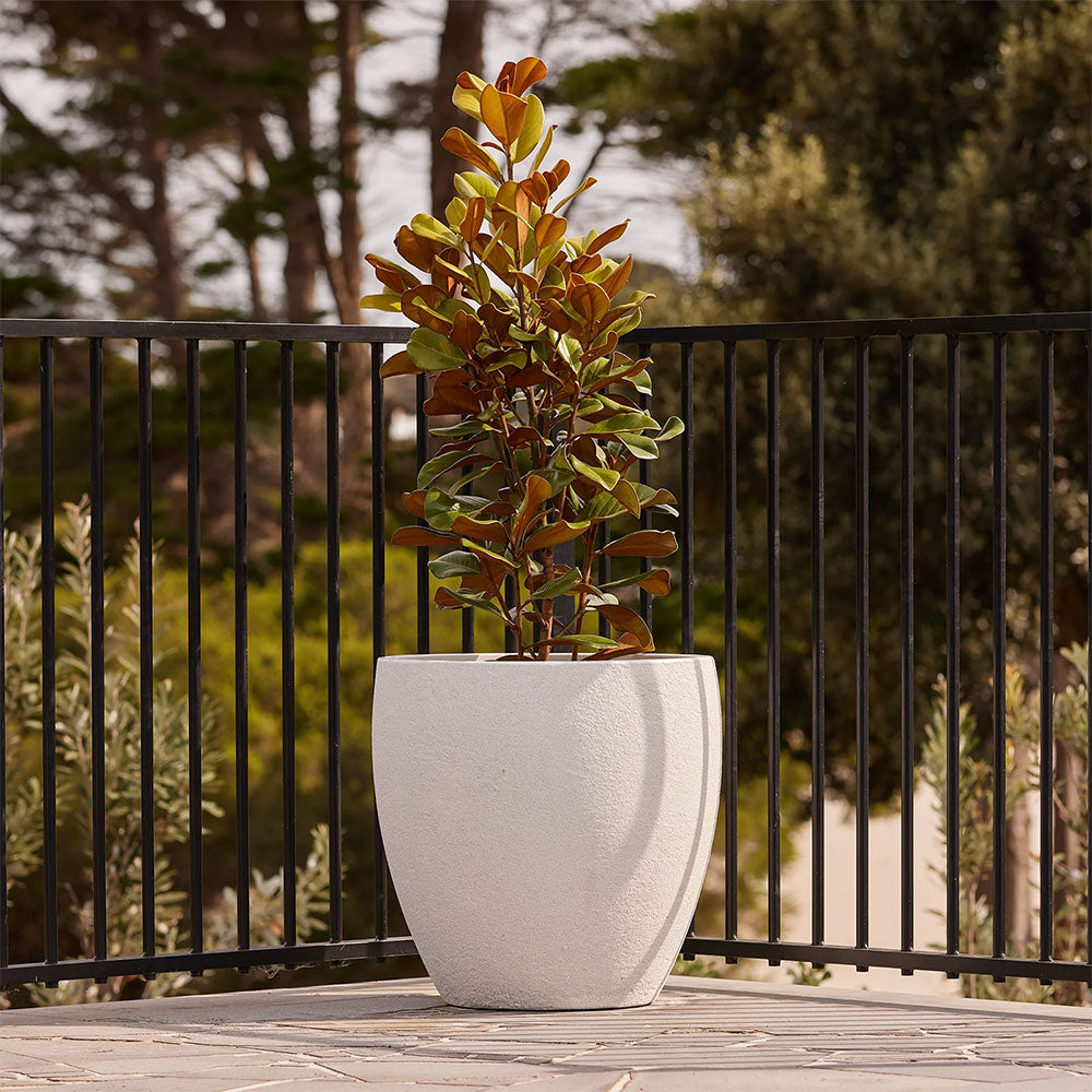 Modstone Montague Egg Pot - White Stone - variety of sizes available - Available at Simon's Seconds