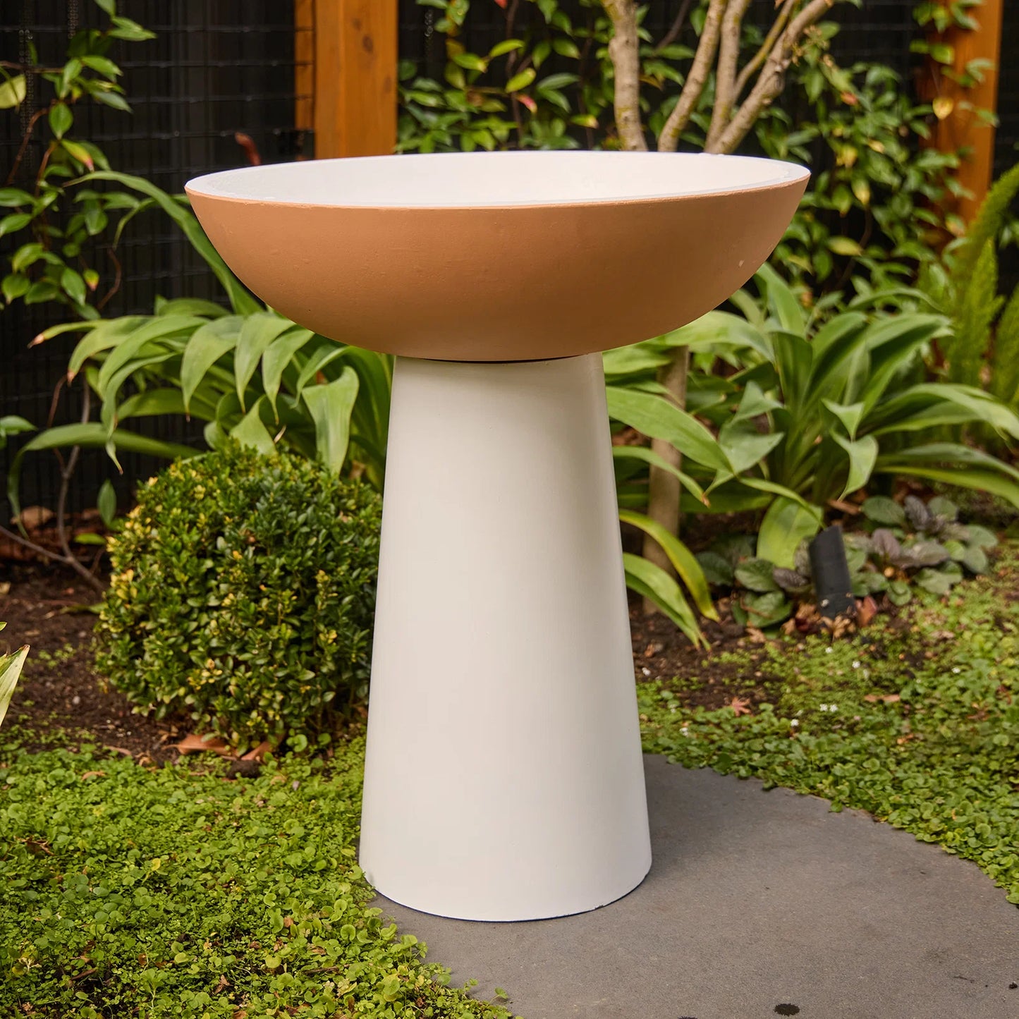 Bird Bath Hammond