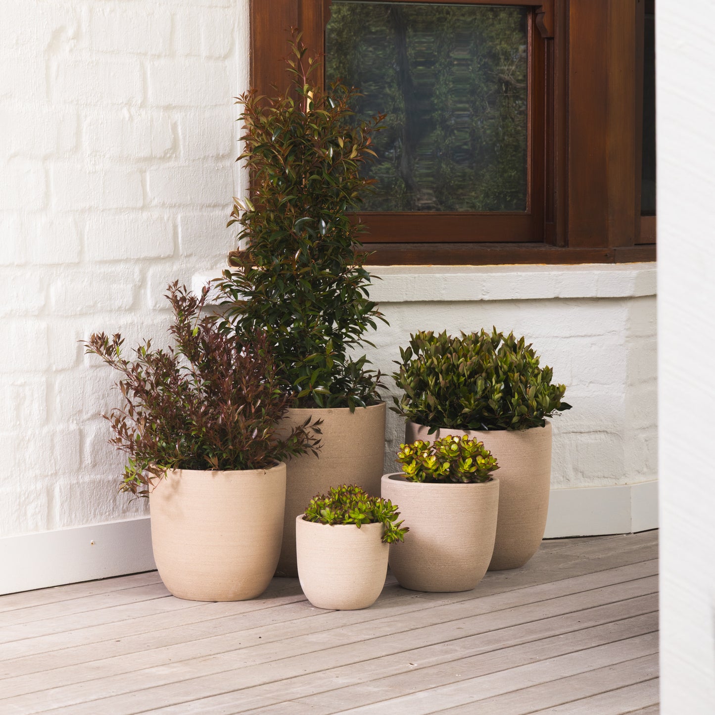 Summit Egg Pot - Cream