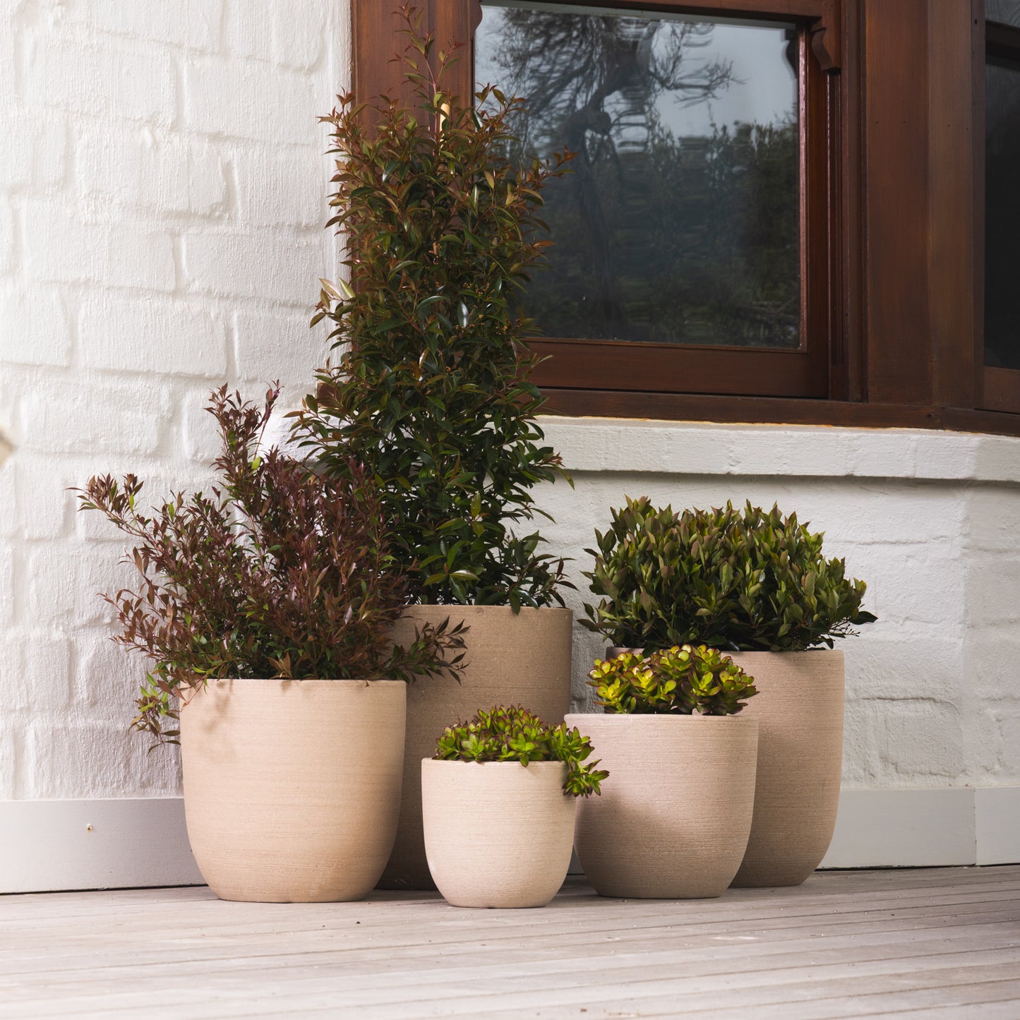 Summit Egg Pot - Cream