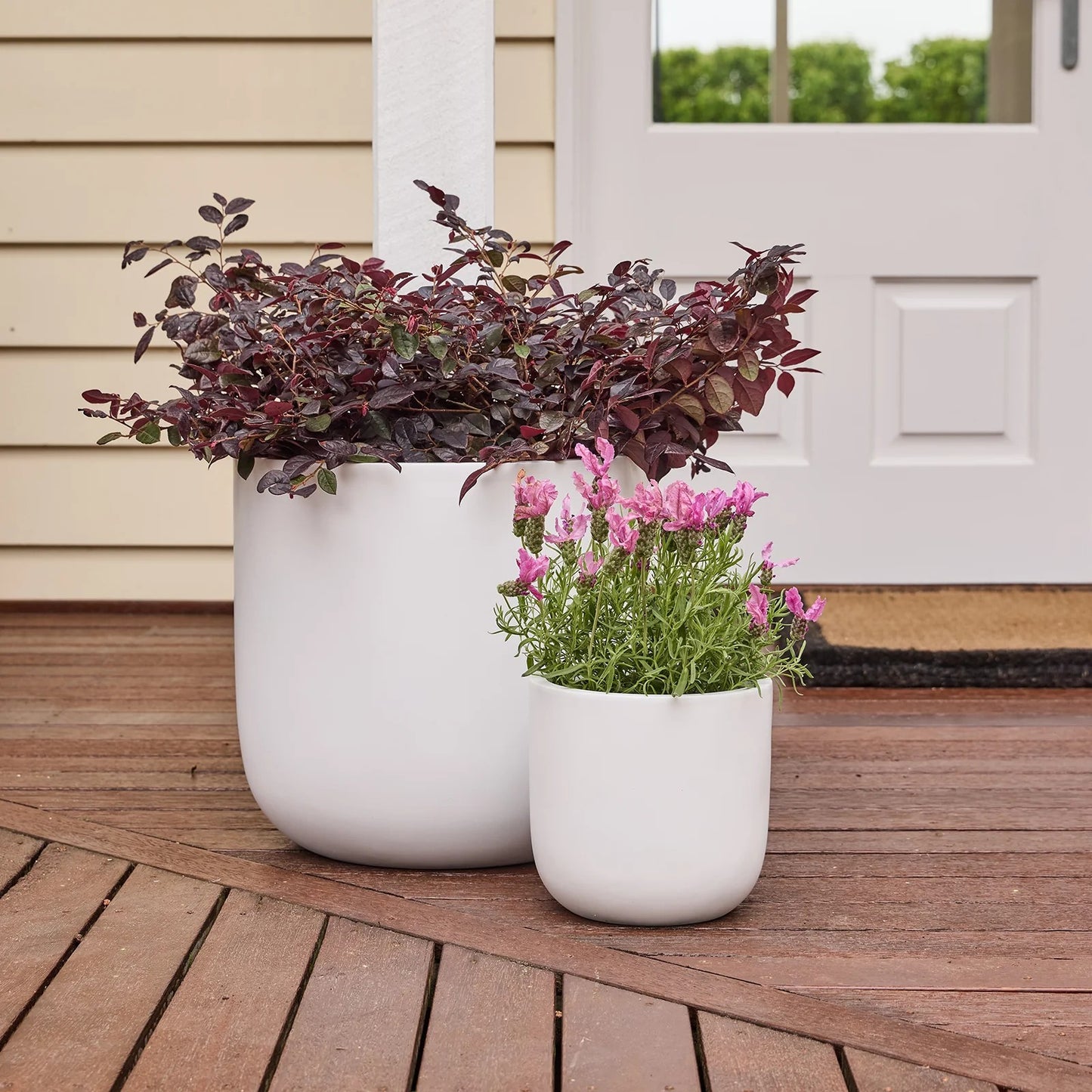 Winter Egg Pot - White