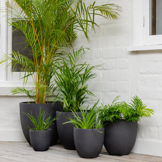 Vellum Egg Pot Black