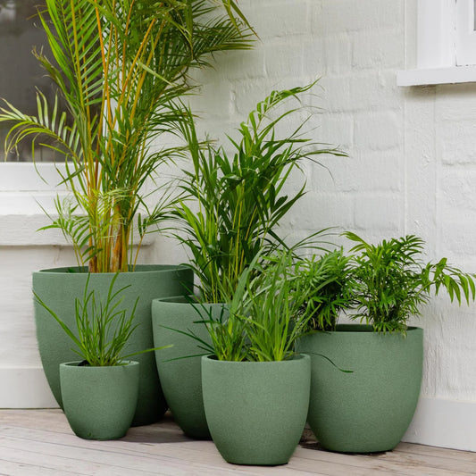 Vellum Egg Pot Green