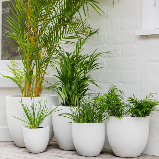 Vellum Egg Pot White