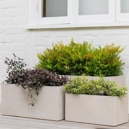 Vellum Trough Beige