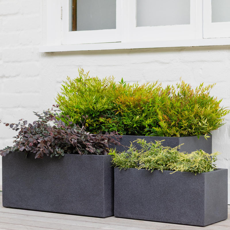 Vellum Trough Black
