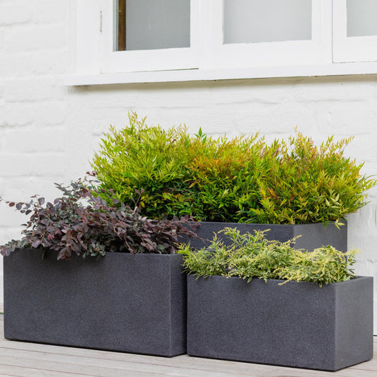 Vellum Trough Black