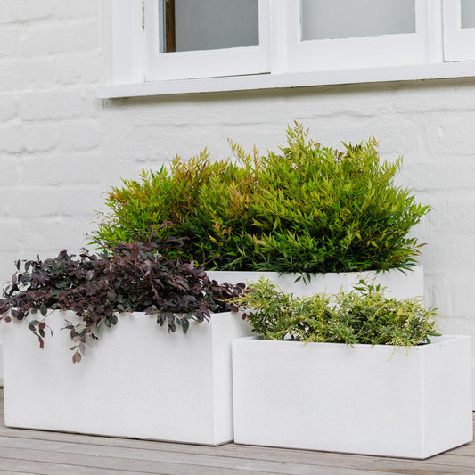 Vellum Trough White