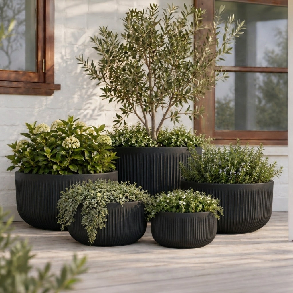 Keystone Chord Large Bowls | Black