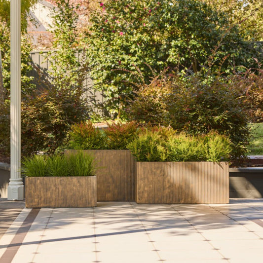 Keystone Chord Trough - Gold