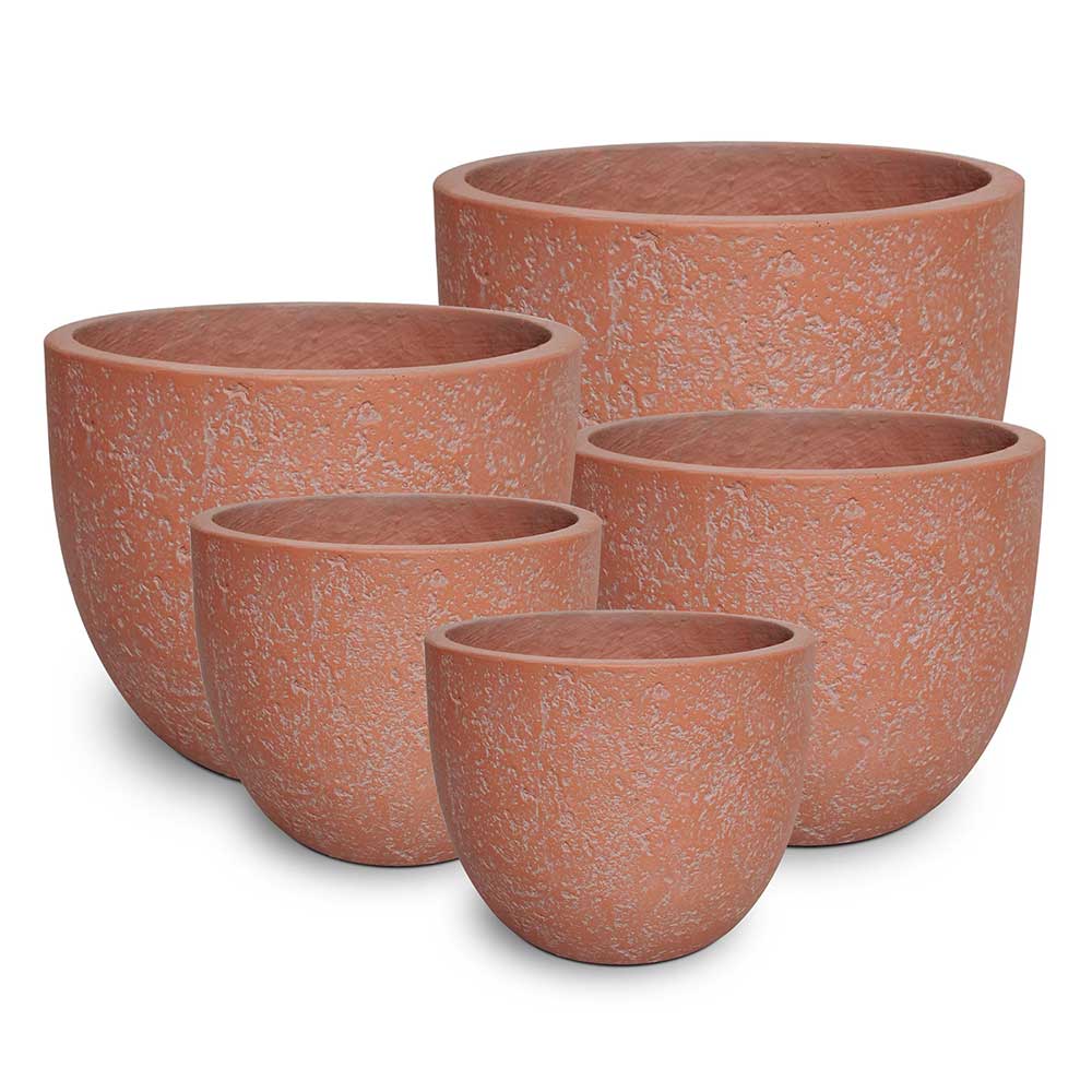 Keystone Charlotte Egg Pot - Terracotta - Northcote Pottery - Available at Simon's Seconds